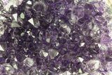 Purple Amethyst Cluster - Uruguay #66716-2